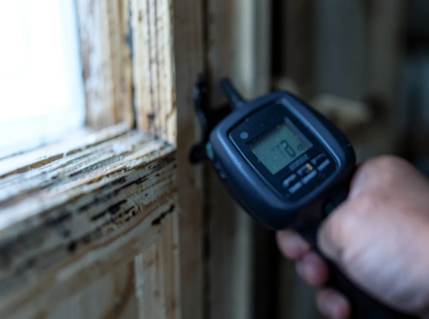 Moisture Inspection And Documentation in Jones, MI